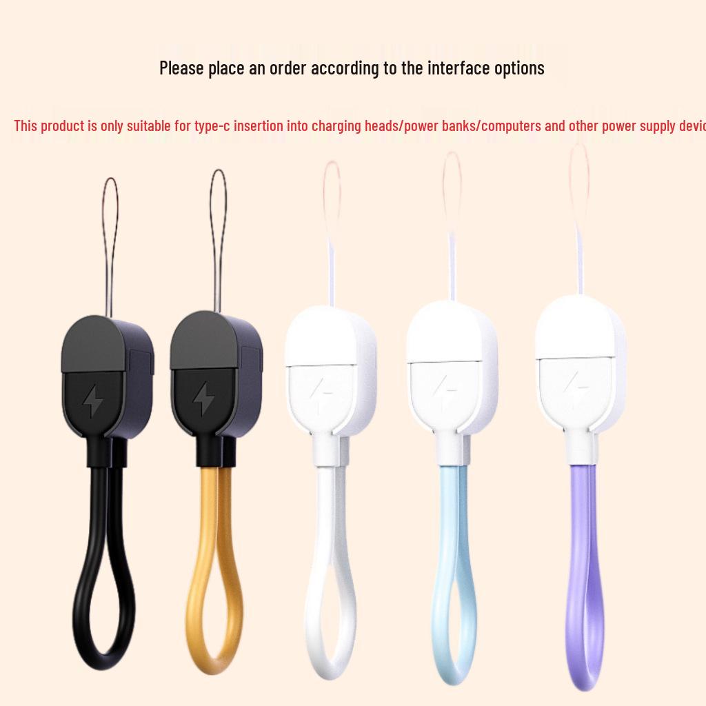 Быстрый кабель для передачи данных, совместимый с Apple: Двойная USB-C и брелок Power Bank Ремешок