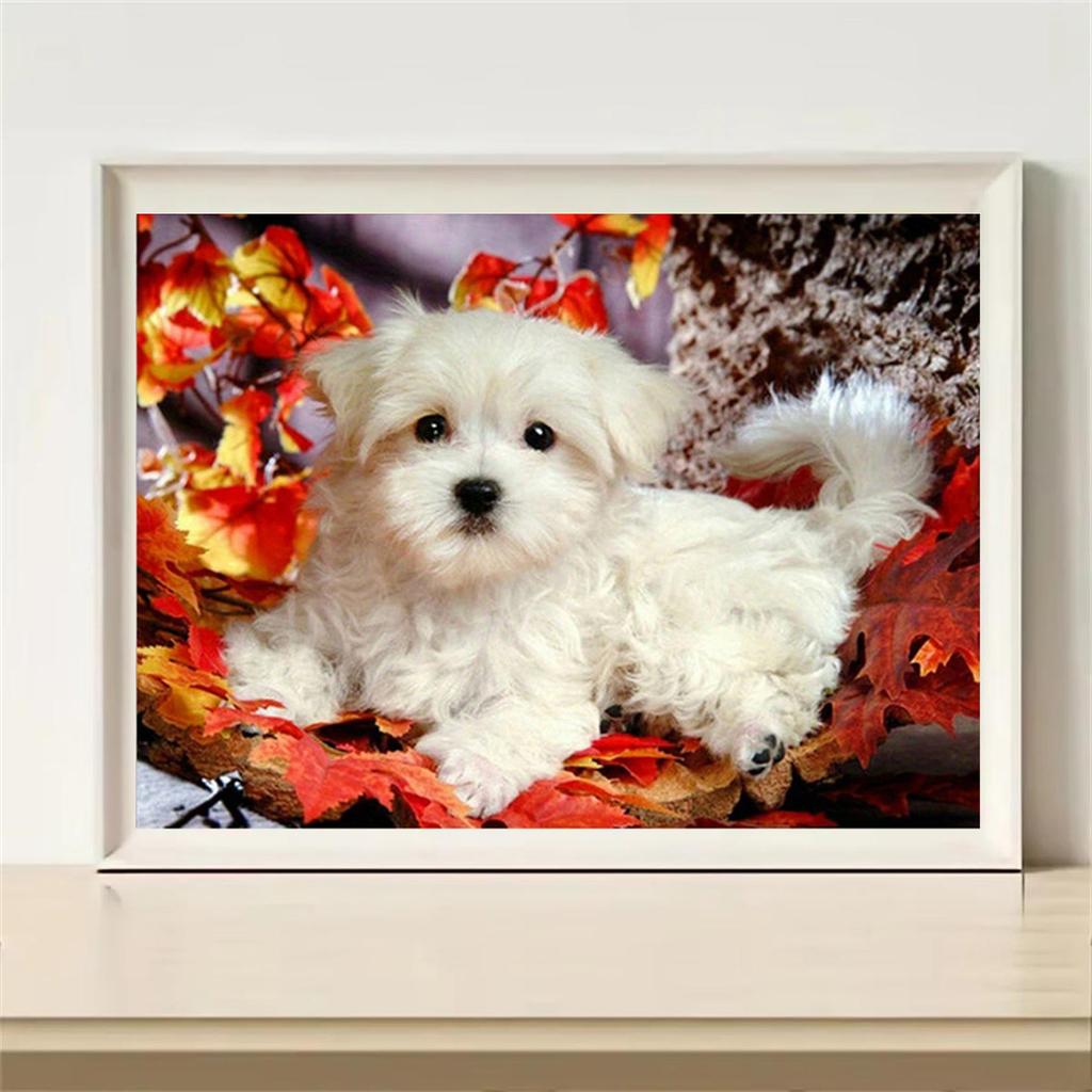 5D DIY алмазная живопись, мультяшный дракон, использование для взрослых и детей, набор для вышивания, вся алмазная живопись водой, подарки для украшения дома ручной работы