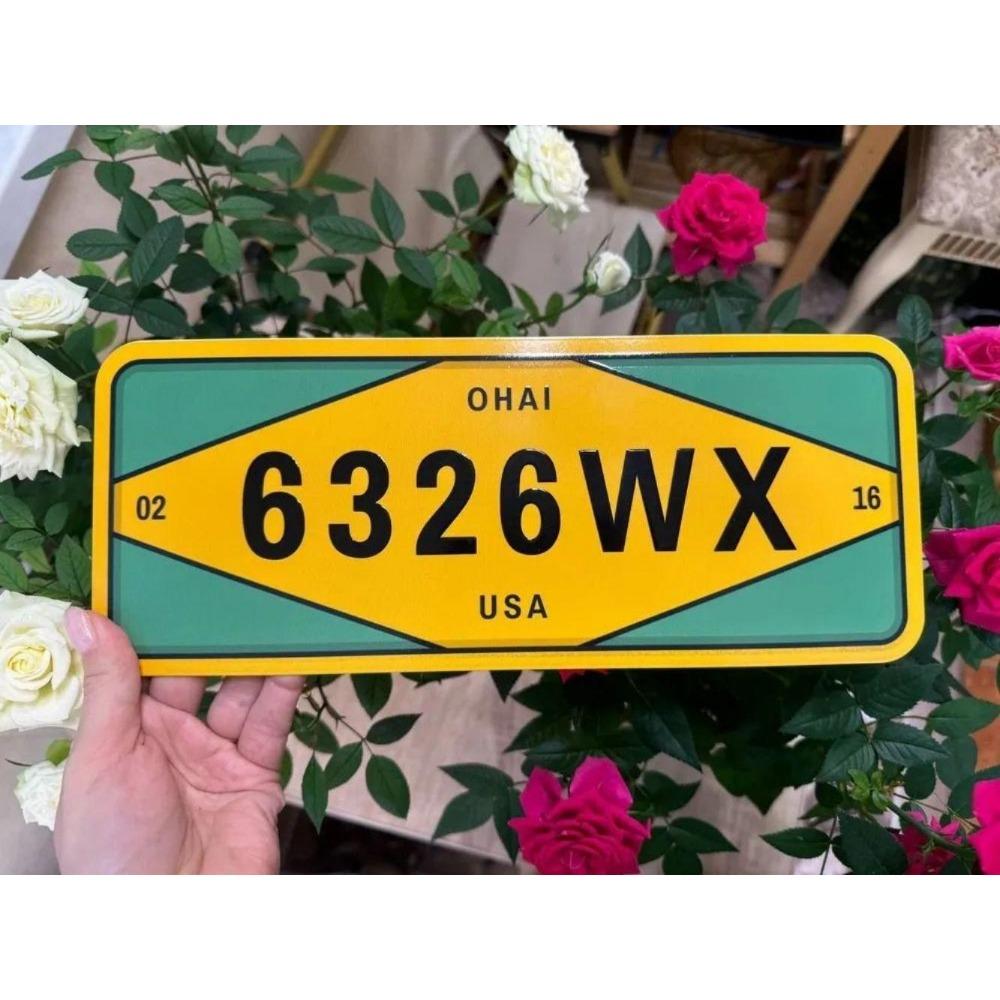 U.S. License Plate, U.S. Car License Plate, Metal, 15x30 Cm.