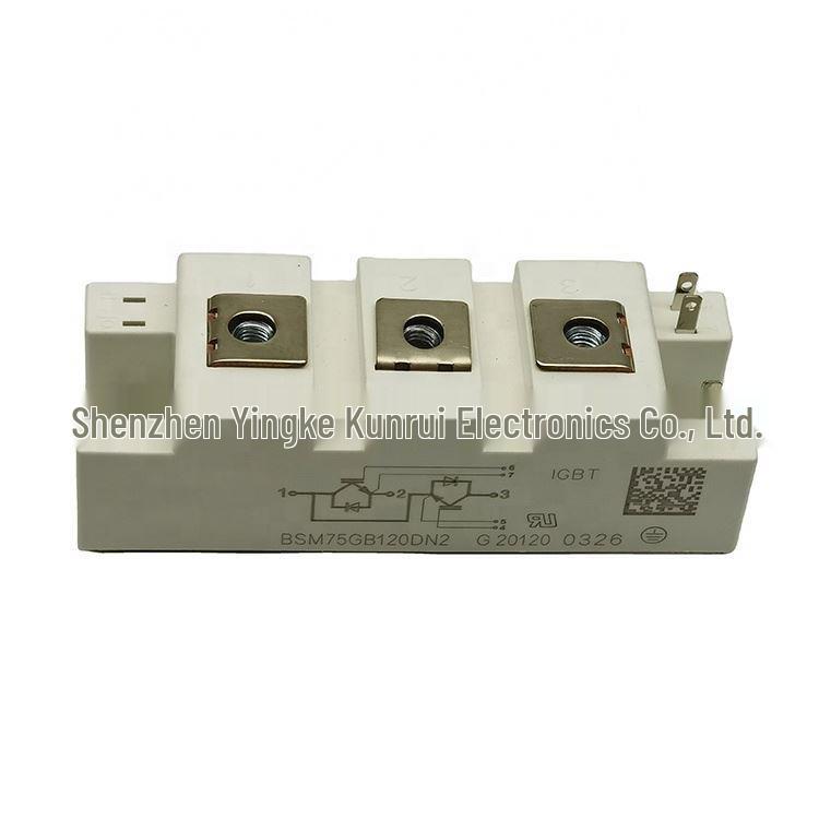 BSM75GB120DN2, BSM50GB120DN2, BSM50GB120DLC, SKM100GB125DN Semiconductors
