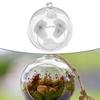 Clear Glass Ball Terrarium for Shop Displays and Home Decor Elevate Your Space