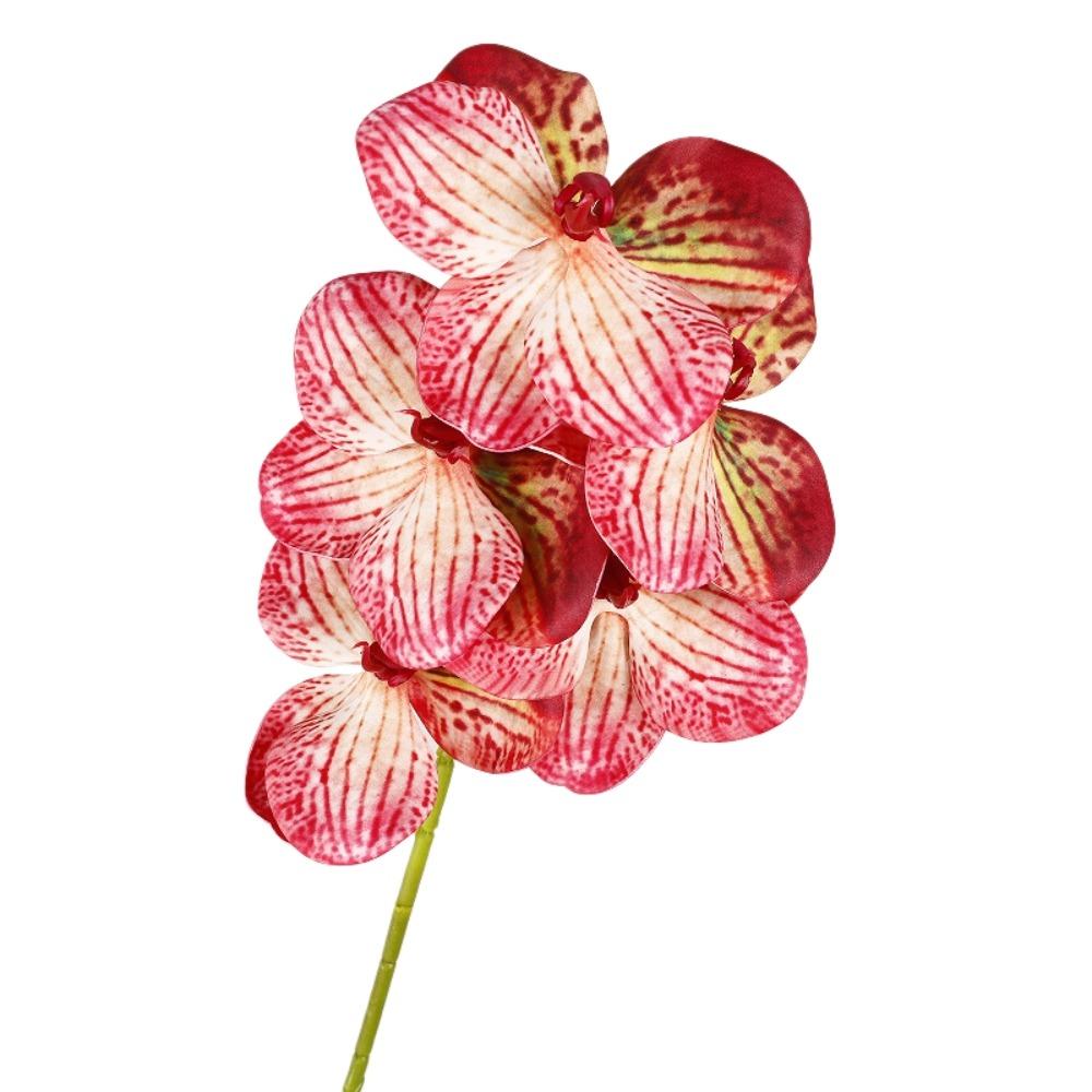 Real Touch Artificial Vanda Orchid Flower Handmade Faux Phalaenopsis  Wedding Party Favors