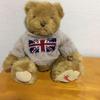 [USED] Teddy Bear Plush Toy
