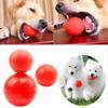 Твердый кошачий укус Товары для питомцев Жевательная игрушка Моляр для питомца Прыгающие мячи Собачий резиновый мяч