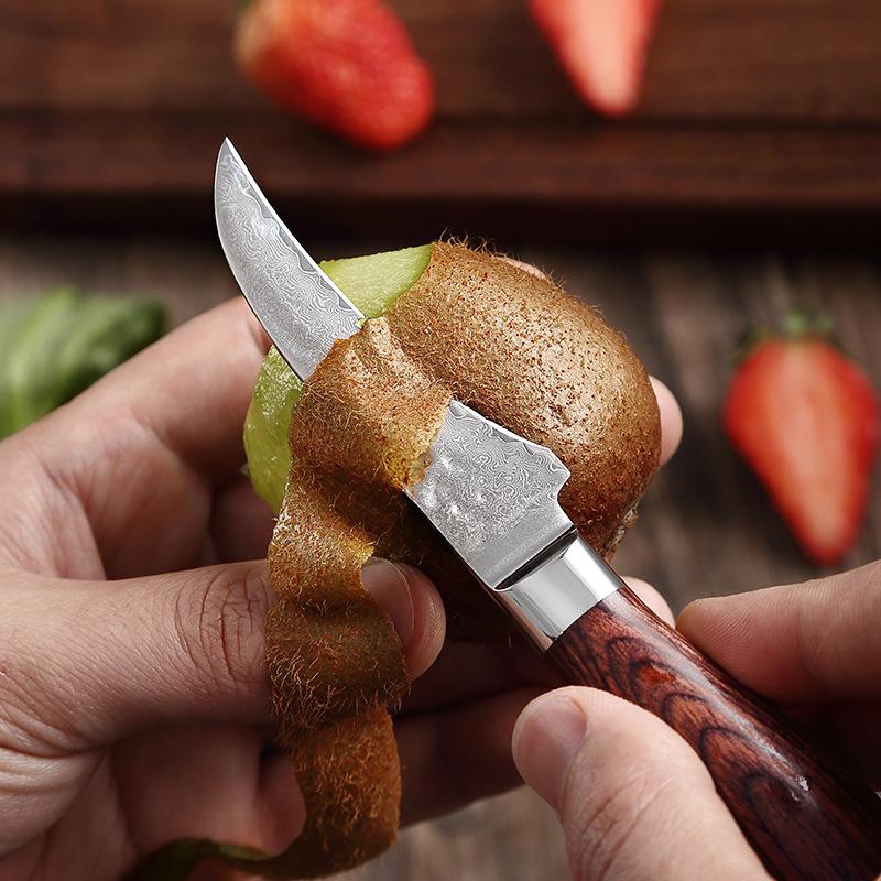 67-слойная дамасская сталь, 3,5-дюймовый фруктовый нож, цветная деревянная ручка, легкие овощные блюда в западном стиле, очищенный нож