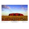 Пазл Ken Duncan Images of Australia 2000 деталей (12 апостолов)