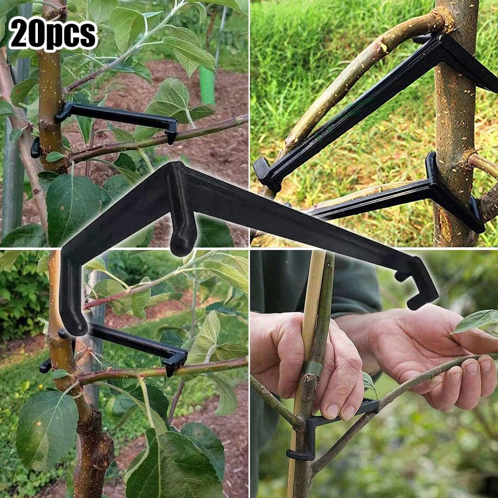20 шт., разбрасыватель фруктовых веток, образует более сильные ветки, многоразовые