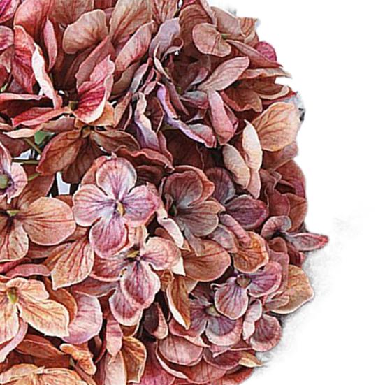 Имитация цветка, яркий, легкий уход, сохранение свежести, уникальный хороший визуальный эффект, искусственная гортензия, домашний декор