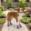 4PCS/SET Non-Slip Pet Mesh Shoes Wear-Resistant Pet Paw Protector Pet Footwear  Outdoor Use