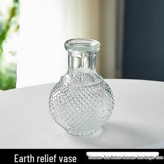 Small French Retro Glass Hydroponic Vase for Home Decor