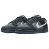 Nike Dunk Low Anthracite Unisex Sneakers Black Pure-Platinum Cool-Grey FV0384-001