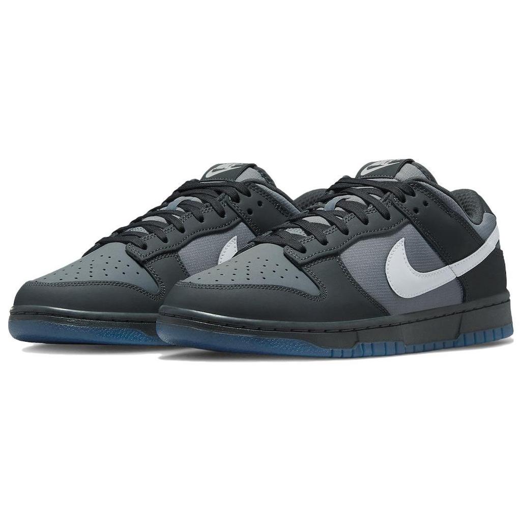 Nike Dunk Low Anthracite Unisex Sneakers Black Pure-Platinum Cool-Grey FV0384-001