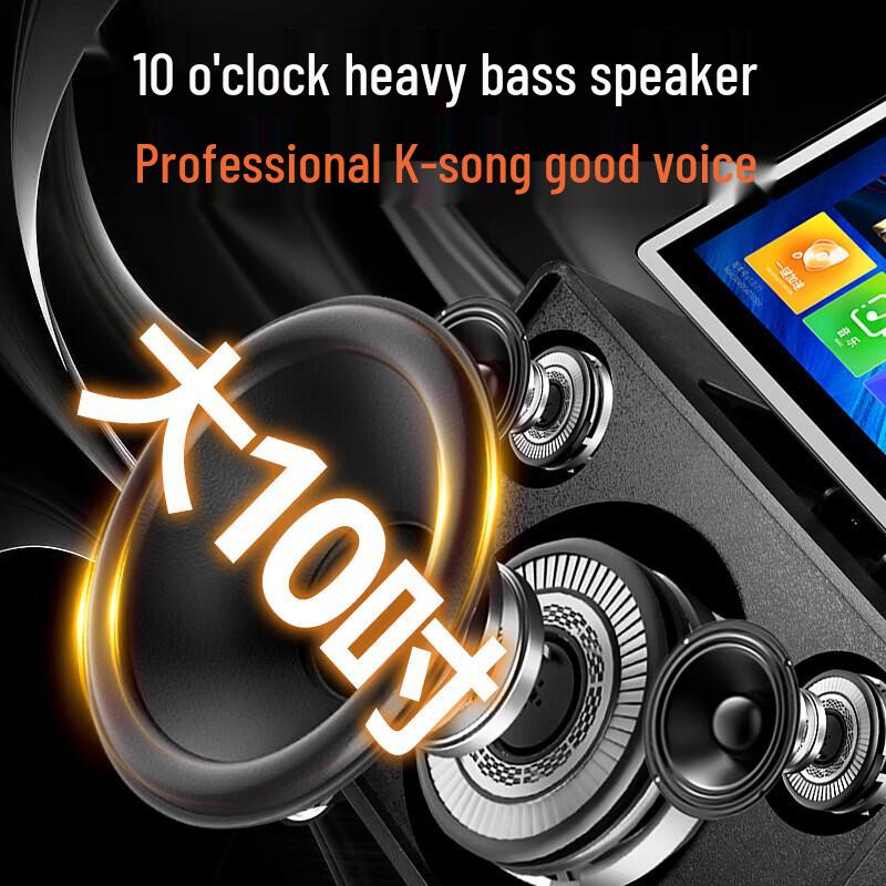 SAST SA-219 All-in-One Portable Karaoke Speaker System (CN version)