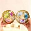 3Pcs Glitter Transparent Dumpling Fidget Toys With Steamer Portable Stress Relief Toy for Kids Adult Office Home