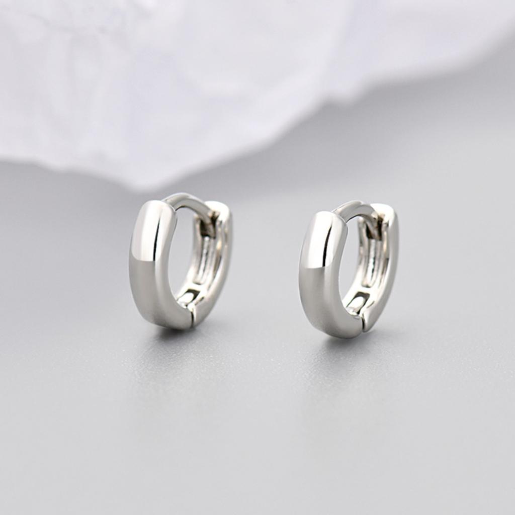 Earrings, Earrings, Ear Studs, Women's Ear Piercings, High-end Plain Hoop Earrings, Ear Clips, Ear Studs, Earrings For Women