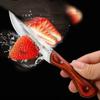 Stainless Steel Hand Fruit Knife Forged Color Wood Thickened Mongolian Mutton Beef Knife Portable High Hardness Sharp Hand Knife with Cover
