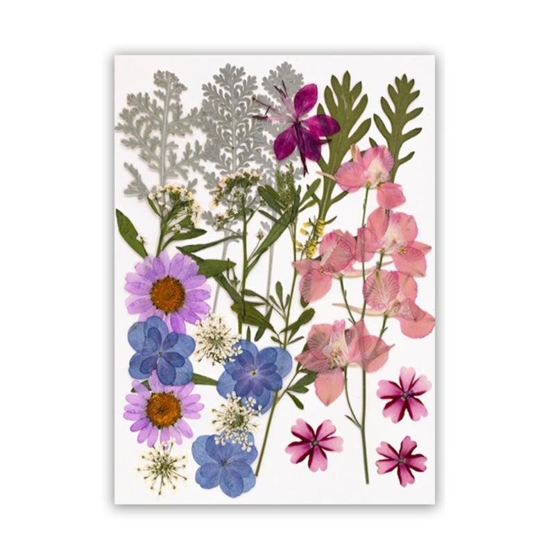 Dried Flower Leaf Kits for Epoxy Jewelry Molds Scrapbooking Supplies and Artistic Soap Making Phone Case Decoration