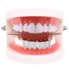 Zirconia Hip Hop Grillz: European & American Single Tooth Halloween Decoration
