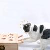 Funny Cat Hunt Puzzle Toy Wooden Maze Pet Hit Hamster Catch Bite Interactive Toys With 5-holed Mouse Holes Cats Toy Pet Supplies