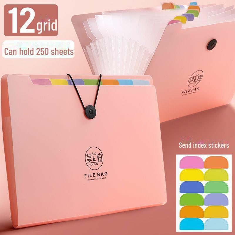 Папка-гармошка большого размера формата А4 для студентов с 5–12 отделениями для документов и файлов.