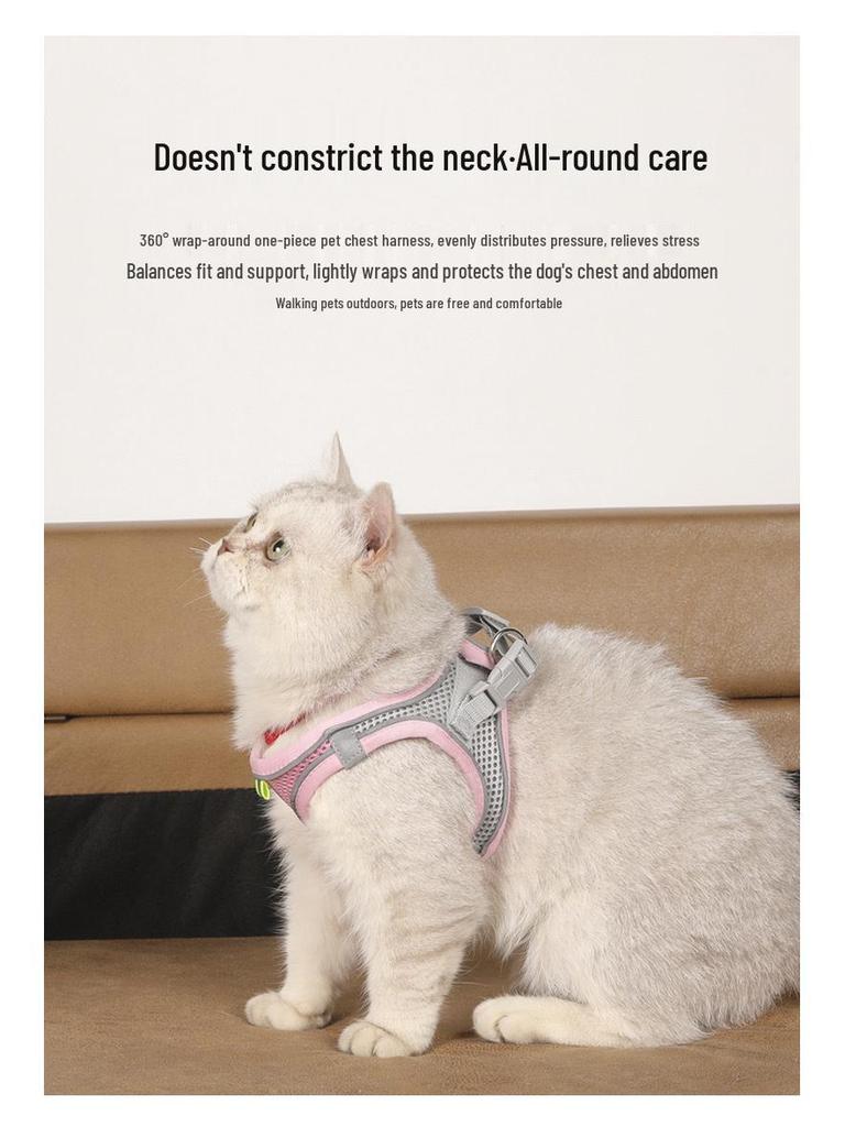 Регулируемый поводок для кошек и собак: Защищенный от побегов, выдвижной поводок для прогулок на открытом воздухе