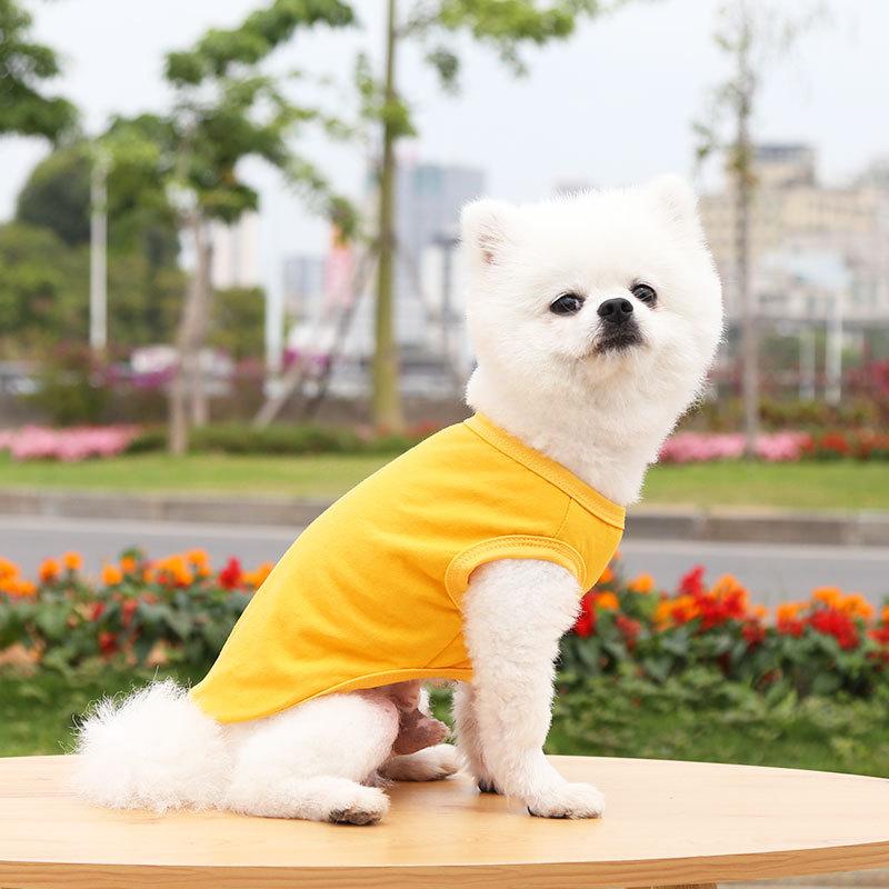 Teddy Than the Bear Cat Small Medium and Large Dog Dog Spring and Summer New Pet Clothes Vest Dog Supplies Cat Bipod