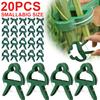 20pcs Plant Fixed Clips Reusable Garden Greenhouse Bracket for Fixed Plants Vine Flower Seedling Tomatoes Support Garden Tool