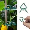 10/20PCS Adjustable Plant Fixed Clips Reusable Greenhouse Bracket Fixing Stems Flower Vine Tomatoes Fastener Garden Tool