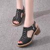 Fashion Summer Leather Waterproof Sandals Casual Matte Retro All-match Shoes for Women