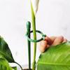 10Pcs Adjustable Plant Climbing Rack Creative Plant Stand Flower Stand Sticks  Garden Accessories