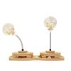 Wooden Interactive Cat Toy Set With Rotating Disc Treat Dispenser Kittens Cats
