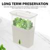 Large Capacity Fresh Herb Keeper Plastic Herb Lettuce Keeper Vanilla Bean Storage Box  Mint