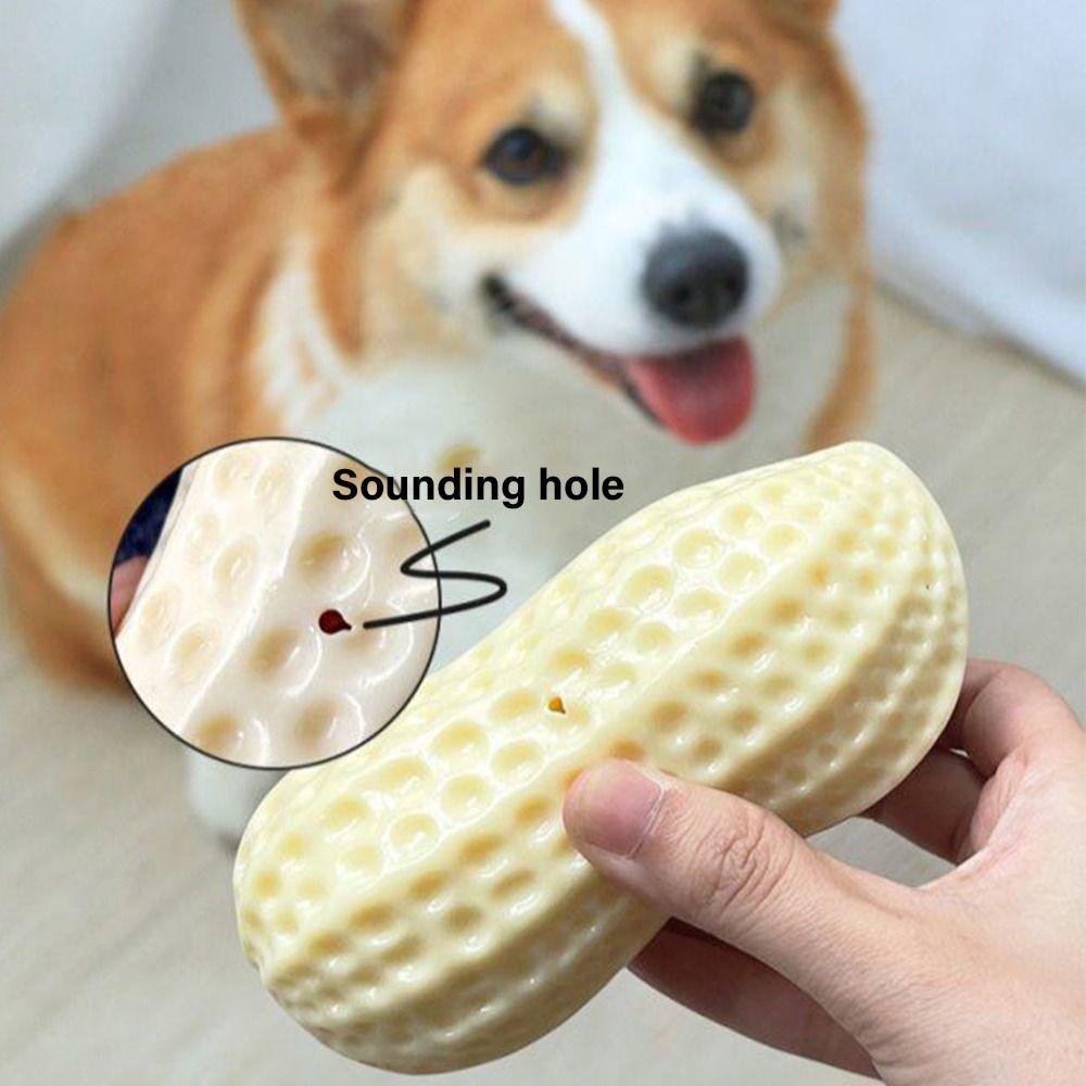 Teeth Interactive Bite Resistant Peanut Dog Toy Pet Toy Ball Squeak Vocal Molar