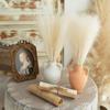 10PCS/Set DIY Boho Decor Flower Home Decor Fake Plant Reed Fluffy Pampas Grass  Wedding Party