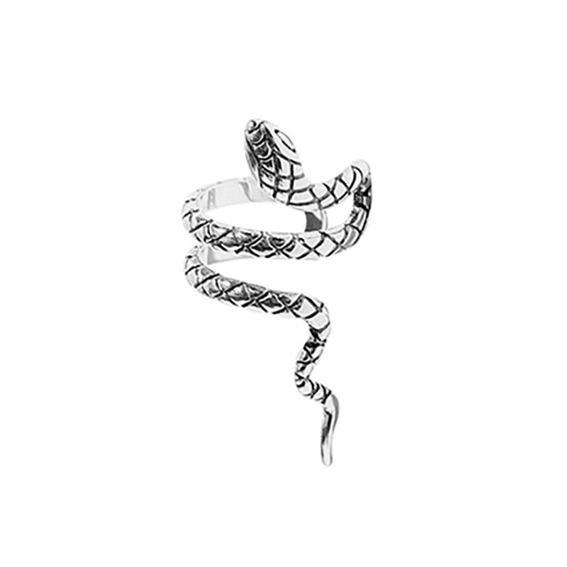 foxanry Змеиные геометрические серьги для женщин, креативные винтажные клипсы для ушей в стиле хип-хоп, вечерние ювелирные аксессуары, подарки