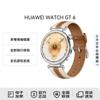 Huawei Умные часы WATCH GT 6 (Китайская версия)