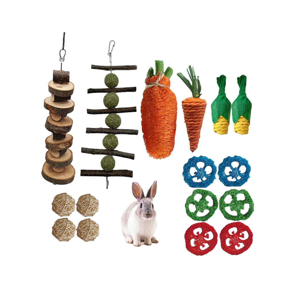 Wood Durable And Stylish Chew Toys Set For Rabbit Guinea Animal Chew Toys Chew Toys Bundle