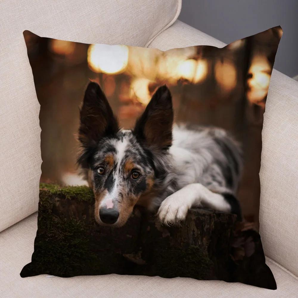 Soft Plush Cute Pet Animal Cushion Cover Scotland Border Collie Pillowcase for Sofa Car Decor Dog Printed Pillow Case