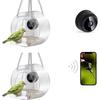 Clearance Now Smart Bird Feeder with Camera, 1080P Bird Watching Camera Auto Capture Videos&Motion Detection For Outdoor I Bird
