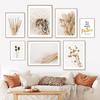 Rabbit Tail Grass Dandelion Reed Plant White Flower Nordic Poster Print Canvas Painting Wall Art Pictures For Living Room Decor