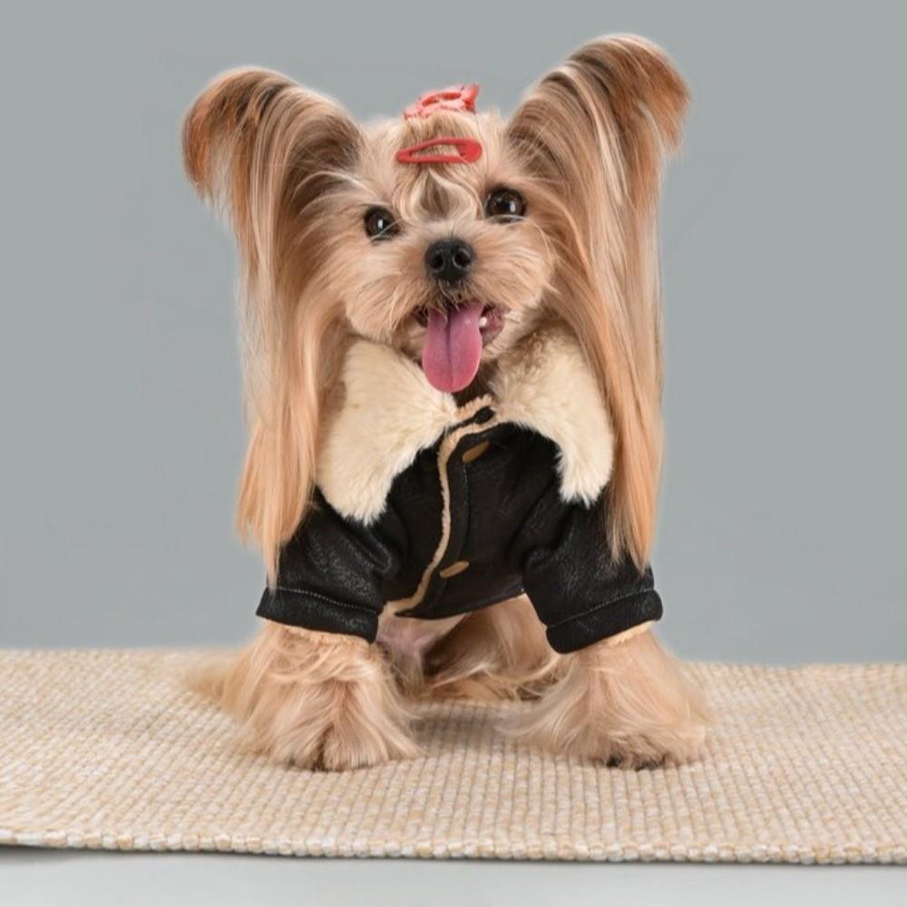 Windproof Feature Pet Winter Coat Fur Lining Warm Pet Clothes Warm Fur Jacket For Dogs