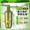 Шампунь-кондиционер Schwarzkopf Ginger Essence для восстановления кожи головы