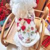 National style retro embroidered pet New Year's clothes Tang suit Chinese traction cotton clothes than bear dog puppy dog New Year's greetings