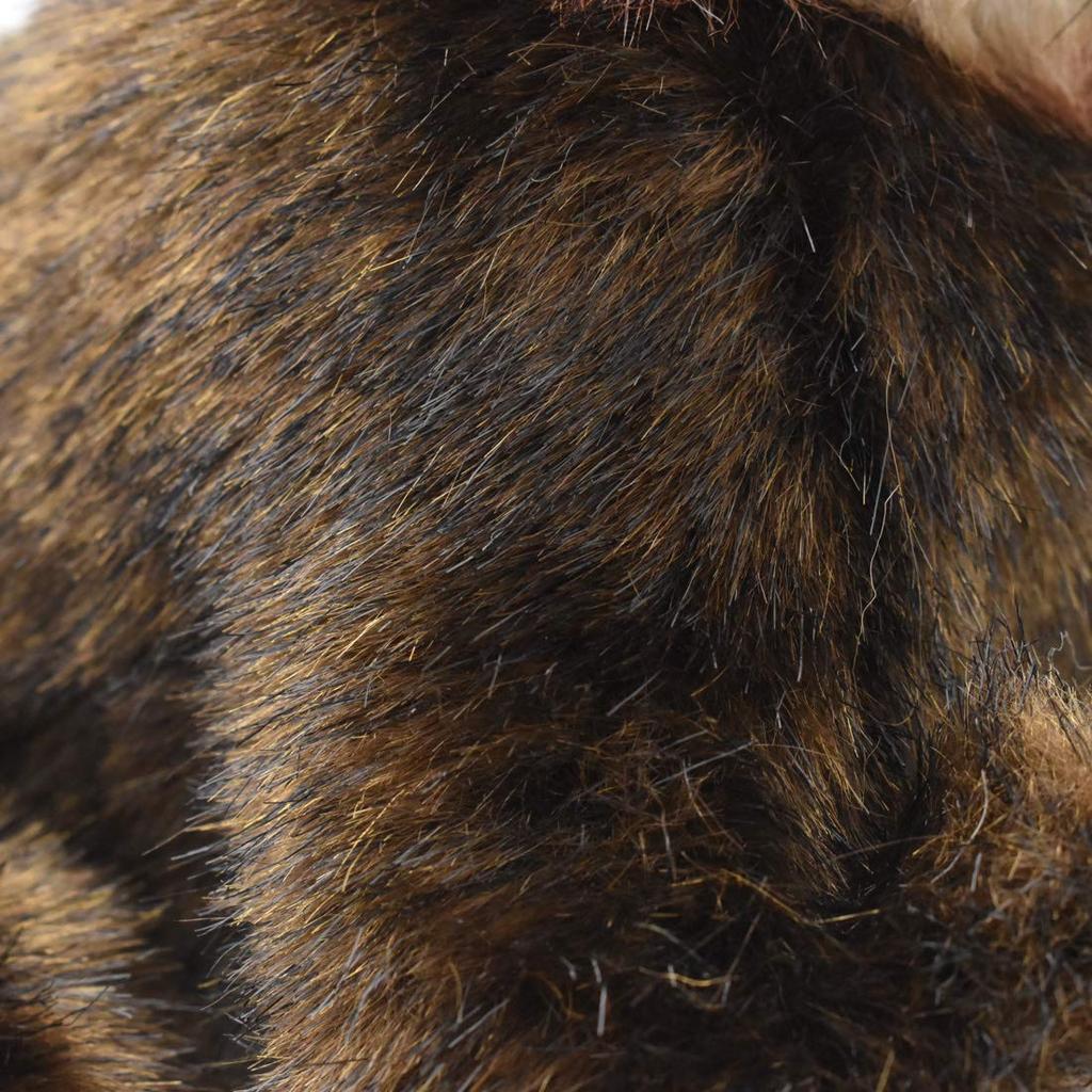 BH5166 HANSA AiAi 20