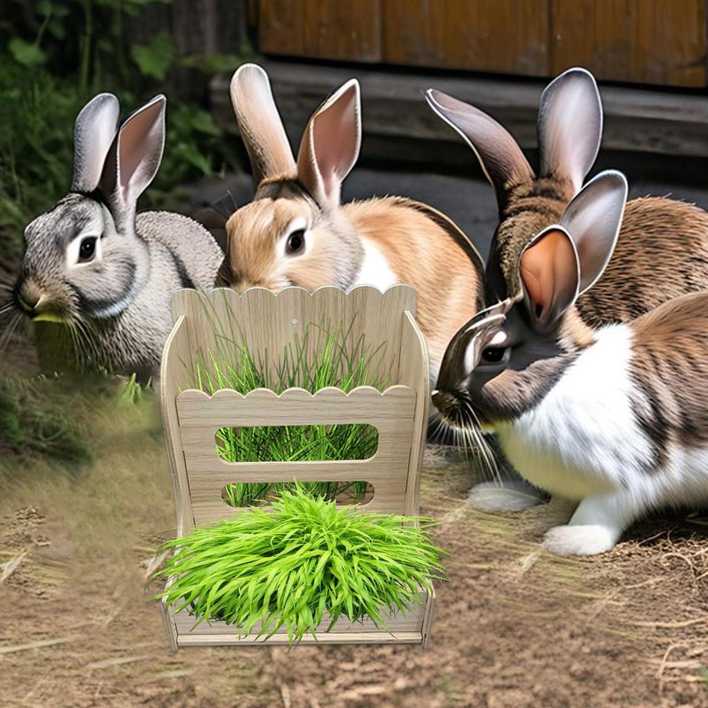 Кормушка для сена Хомяк Кролик Держатель для травы Кормушка для сена Менеджер для кормления травой Защита от отходов Стойка для кормления травой Для клетки-среды обитания Вольер Клетка
