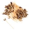 100 Pcs Bamboo Bead Fruit Skewers Food Stick Sticks for Plants Crafting Appetizers