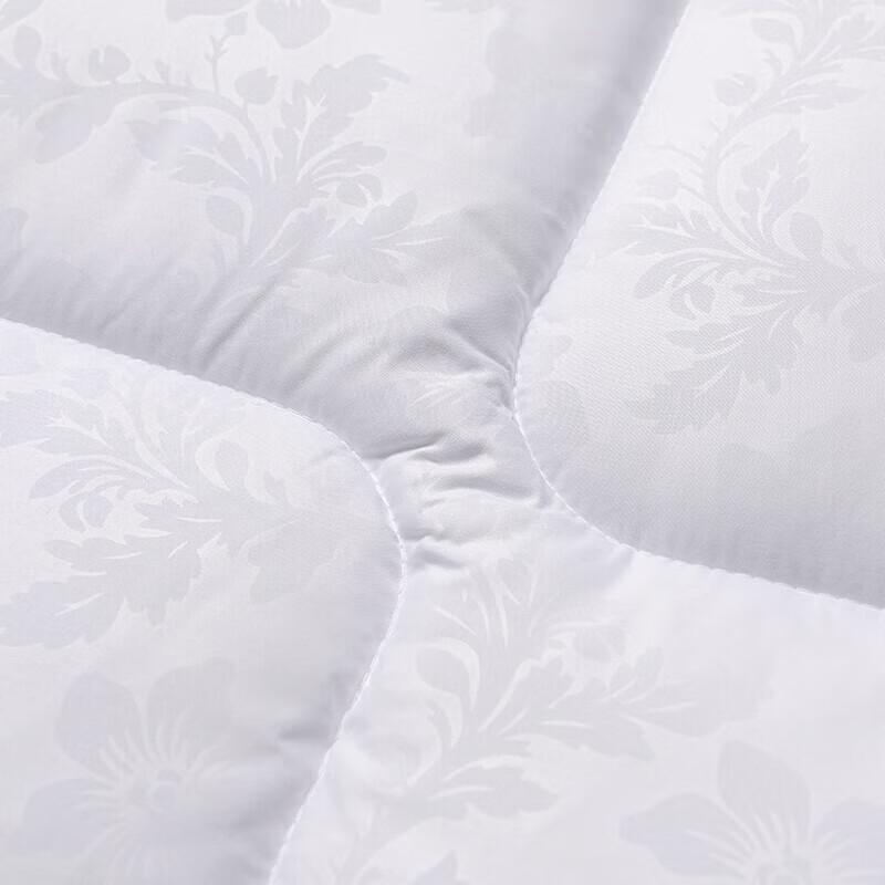 Fuanna Zhenya Antibacterial Winter Duvet Insert