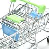 Parrot Supermarket Shopping Cart Kids Intelligence Growth Funny Toy Storage