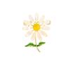 Small Daisy Flower Brooch High-End Women'S Trendy Suit Brooch Accessories Cute Japanese Flower Pin