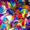 100Pcs Durable Fluffy Smooth Practical Wide Application Natural Plumes for Kids Natural Plumes